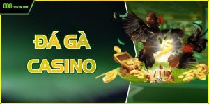 Đá Gà Casino Trực Tuyến: Sảnh Cược Đỉnh Cao Tại 888Top